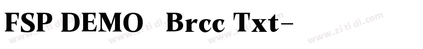 FSP DEMO   Brcc Txt字体转换
